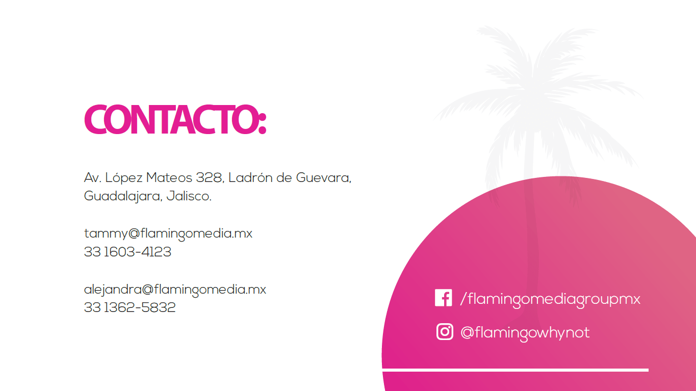 FlaminGo Contacto